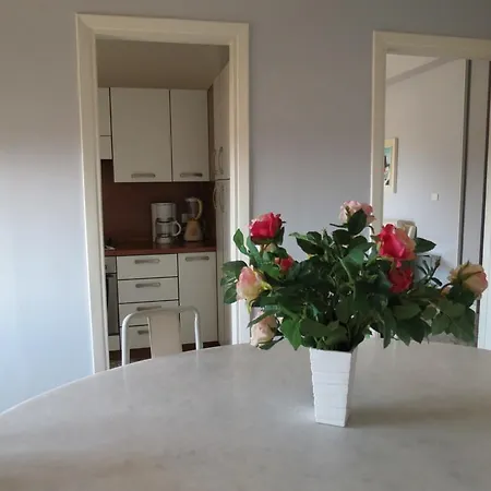 Rosa * Pallanza